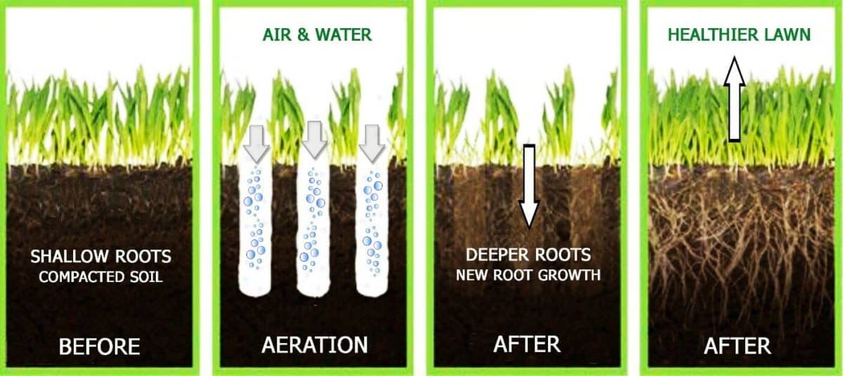 Aeration Guide For Lawn Care.