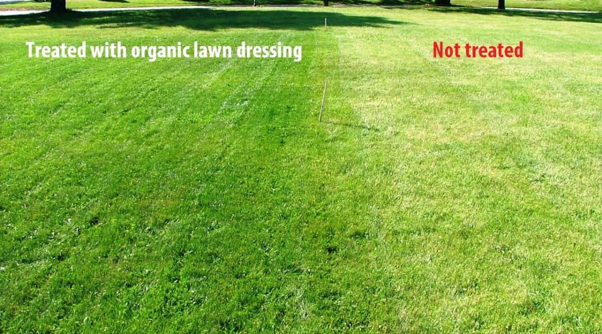 Lawn With Organic Lawn Dressing. Falling Branch Lawncare Landscapers Have You Covered In Rockland County!