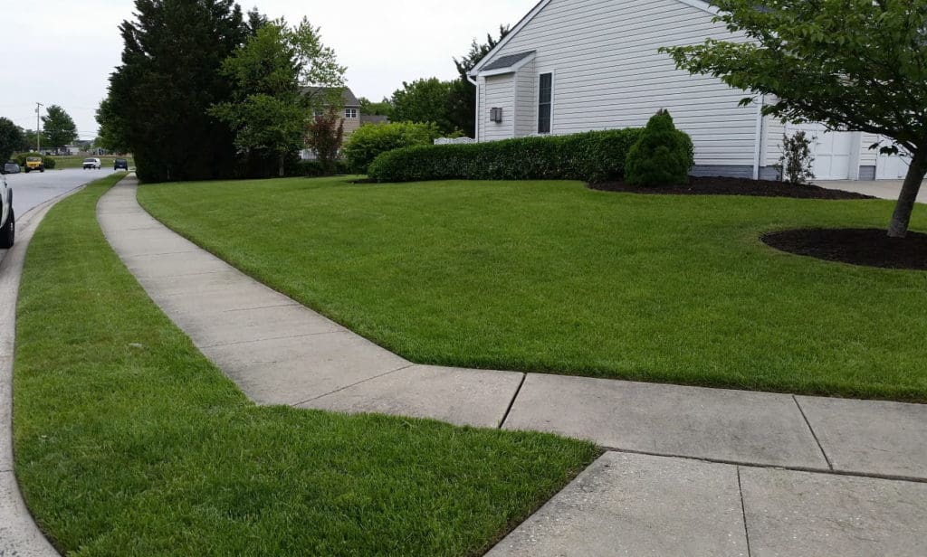 Lawn care services & landscaping success in Stony Point New York