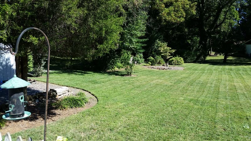 Lawn care company in Rockland County Done By Falling Branch landscapers
