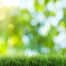Blurred Background Picture Of Healthy Lawn Care Services Grass