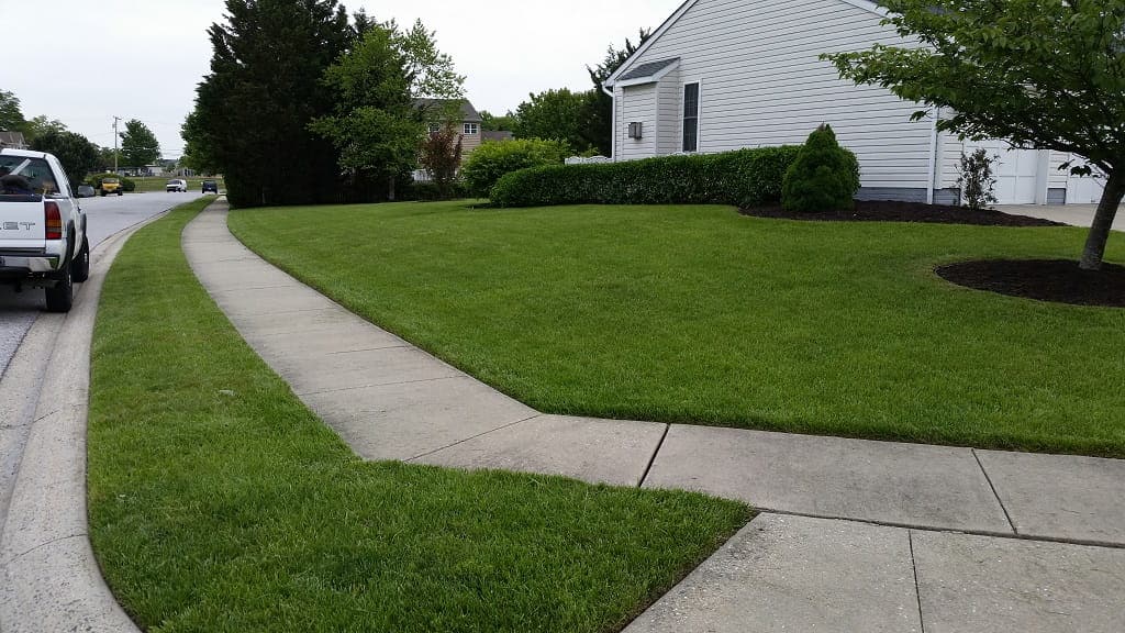 Lawn Mowing & Lawn Edging By Falling Branch Lawncare's Great Landscapers