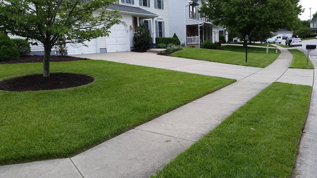 Lawn care services took care of this beautiful lawn